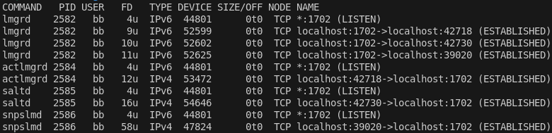 Processes running on port 1702